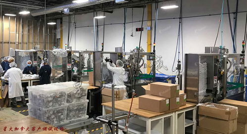 星火包裝機械拓展加拿大市場 日化灌裝生產線助力化妝品產業升級